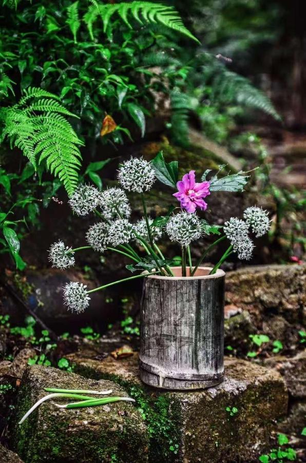Longji Terrace La Vie Inn لونغشينغ المظهر الخارجي الصورة