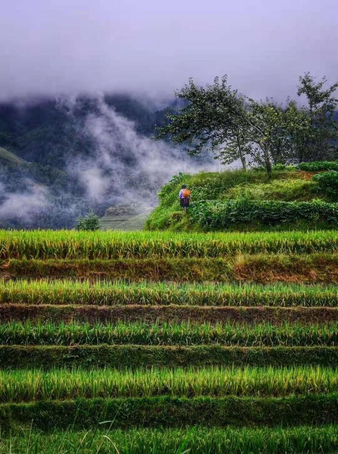 Longji Terrace La Vie Inn لونغشينغ المظهر الخارجي الصورة